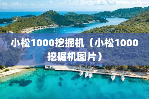 小松1000挖掘机（小松1000挖掘机图片）