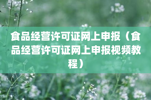 食品经营许可证网上申报（食品经营许可证网上申报视频教程）