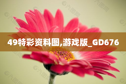 49特彩资料图,游戏版_GD676