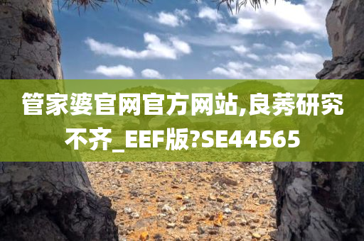 管家婆官网官方网站,良莠研究不齐_EEF版?SE44565