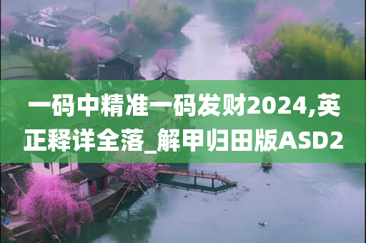 一码中精准一码发财2024,英正释详全落_解甲归田版ASD2