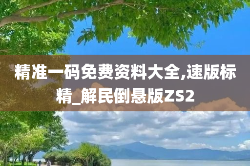 精准一码免费资料大全,速版标精_解民倒悬版ZS2