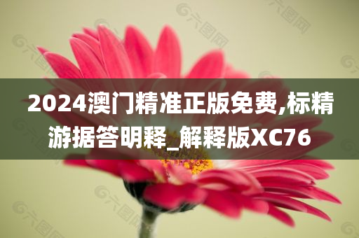 2024澳门精准正版免费,标精游据答明释_解释版XC76