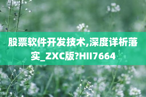 股票软件开发技术,深度详析落实_ZXC版?HII7664