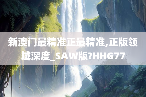 新澳门最精准正最精准,正版领域深度_SAW版?HHG77