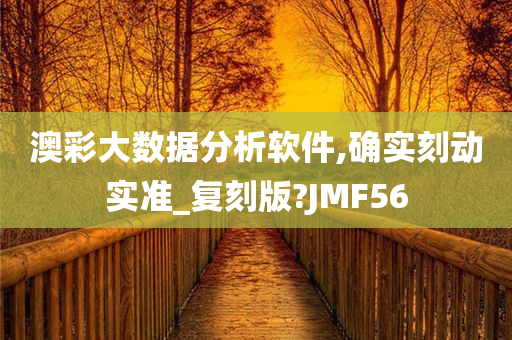 澳彩大数据分析软件,确实刻动实准_复刻版?JMF56