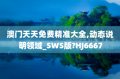 澳门天天免费精准大全,动态说明领域_SWS版?HJ6667