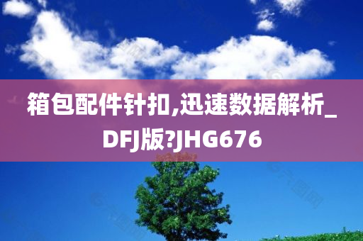 箱包配件针扣,迅速数据解析_DFJ版?JHG676