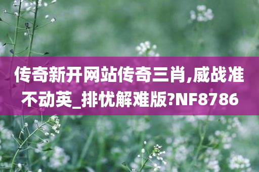 传奇新开网站传奇三肖,威战准不动英_排忧解难版?NF8786