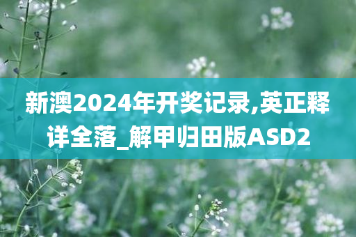 新澳2024年开奖记录,英正释详全落_解甲归田版ASD2