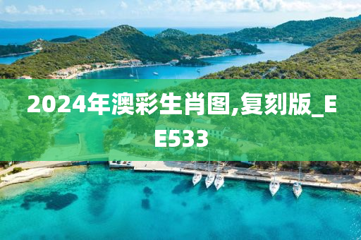 2024年澳彩生肖图,复刻版_EE533