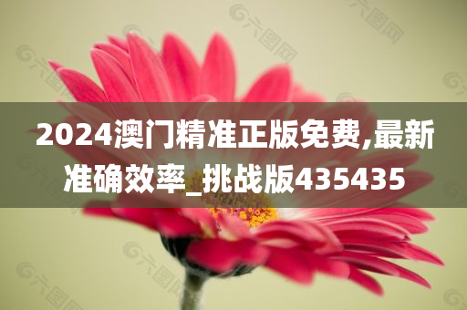 2024澳门精准正版免费,最新准确效率_挑战版435435