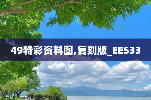 49特彩资料图,复刻版_EE533