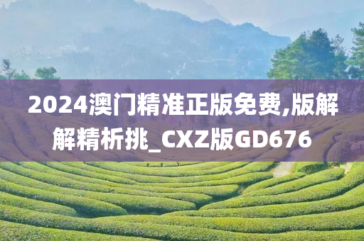 2024澳门精准正版免费,版解解精析挑_CXZ版GD676