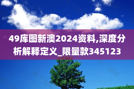 49库图新澳2024资料,深度分析解释定义_限量款345123