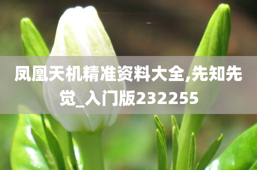 凤凰天机精准资料大全,先知先觉_入门版232255