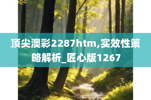 顶尖澳彩2287htm,实效性策略解析_匠心版1267