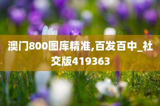 澳门800图库精准,百发百中_社交版419363