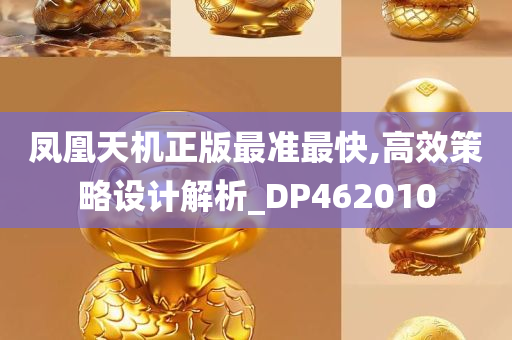 凤凰天机正版最准最快,高效策略设计解析_DP462010