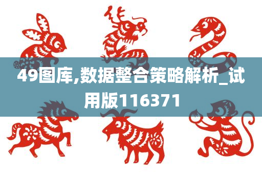 49图库,数据整合策略解析_试用版116371