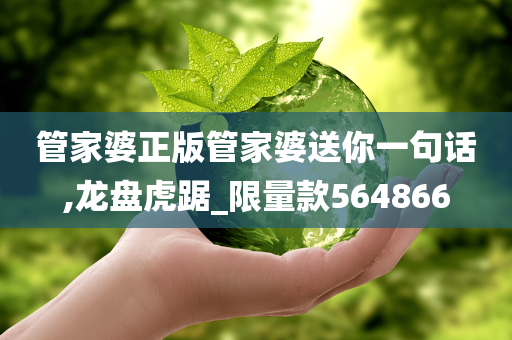 管家婆正版管家婆送你一句话,龙盘虎踞_限量款564866