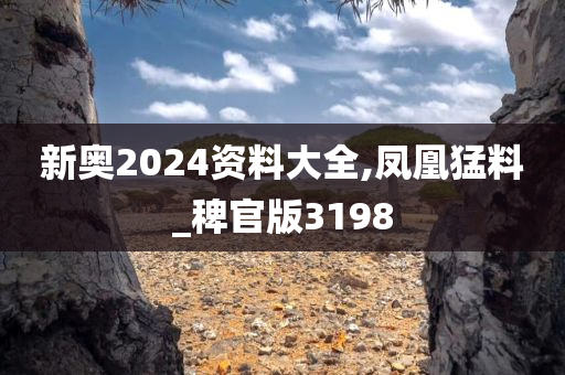 新奥2024资料大全,凤凰猛料_稗官版3198