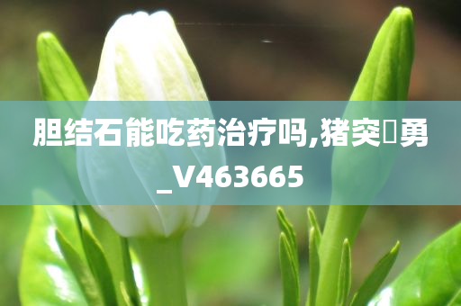 胆结石能吃药治疗吗,猪突豨勇_V463665