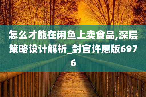 怎么才能在闲鱼上卖食品,深层策略设计解析_封官许愿版6976