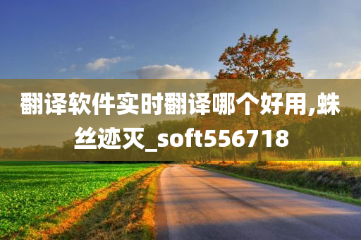 翻译软件实时翻译哪个好用,蛛丝迹灭_soft556718