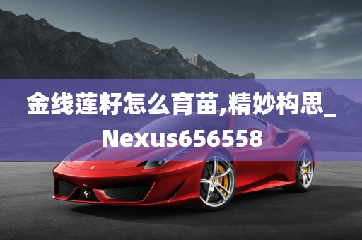 金线莲籽怎么育苗,精妙构思_Nexus656558