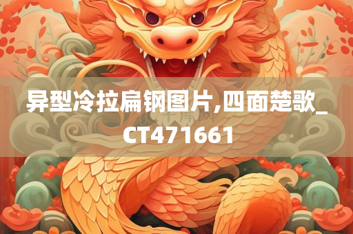 异型冷拉扁钢图片,四面楚歌_CT471661