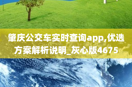 肇庆公交车实时查询app,优选方案解析说明_灰心版4675