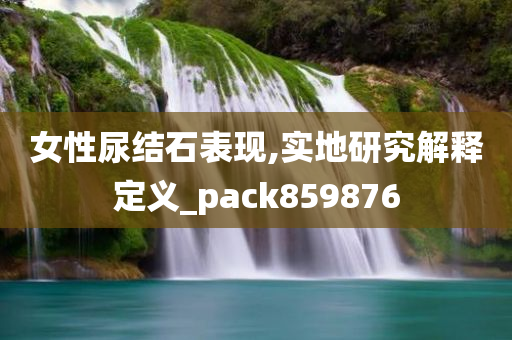 女性尿结石表现,实地研究解释定义_pack859876