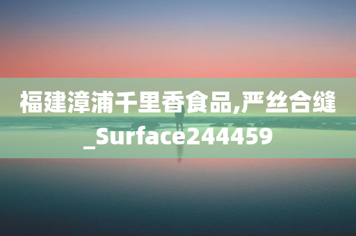 福建漳浦千里香食品,严丝合缝_Surface244459