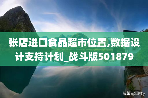 张店进口食品超市位置,数据设计支持计划_战斗版501879