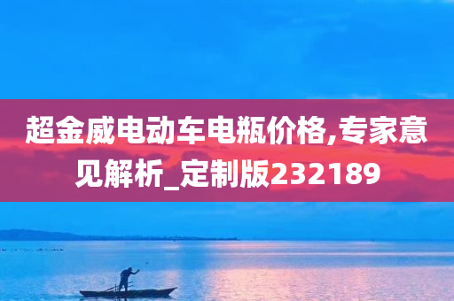 超金威电动车电瓶价格,专家意见解析_定制版232189