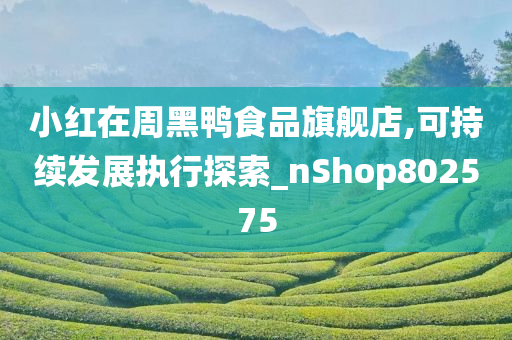 小红在周黑鸭食品旗舰店,可持续发展执行探索_nShop802575