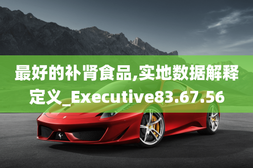 最好的补肾食品,实地数据解释定义_Executive83.67.56