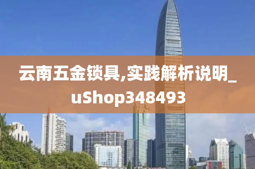 云南五金锁具,实践解析说明_uShop348493