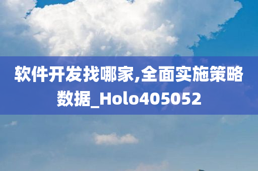 软件开发找哪家,全面实施策略数据_Holo405052