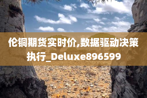 伦铜期货实时价,数据驱动决策执行_Deluxe896599