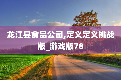 龙江县食品公司,定义定义挑战版_游戏版78