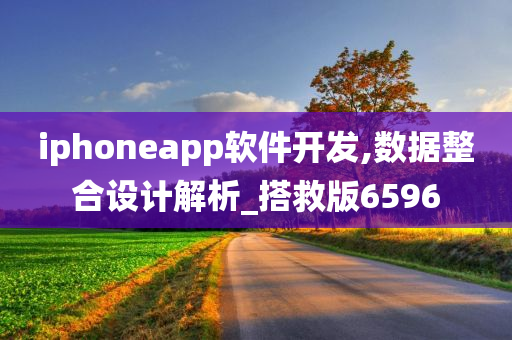 iphoneapp软件开发,数据整合设计解析_搭救版6596