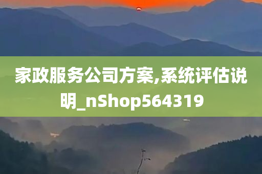 家政服务公司方案,系统评估说明_nShop564319