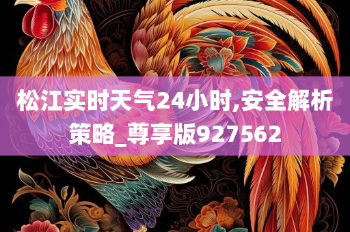 松江实时天气24小时,安全解析策略_尊享版927562