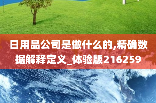 日用品公司是做什么的,精确数据解释定义_体验版216259