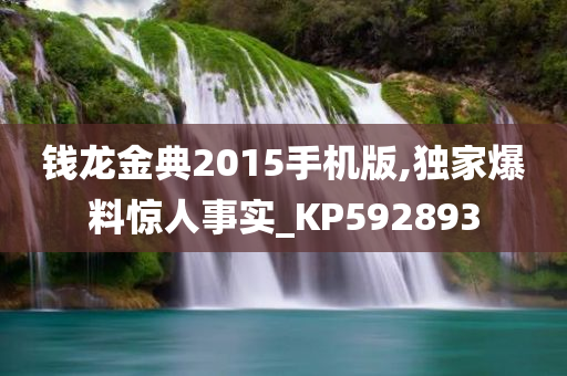 钱龙金典2015手机版,独家爆料惊人事实_KP592893