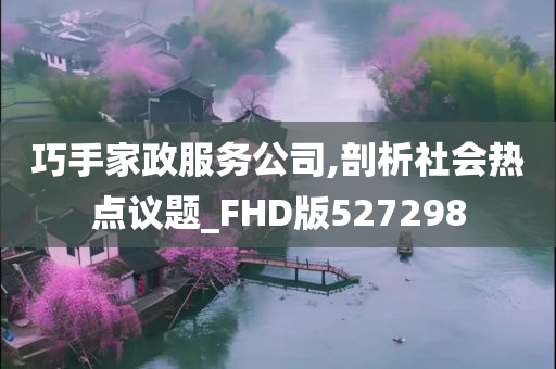 巧手家政服务公司,剖析社会热点议题_FHD版527298