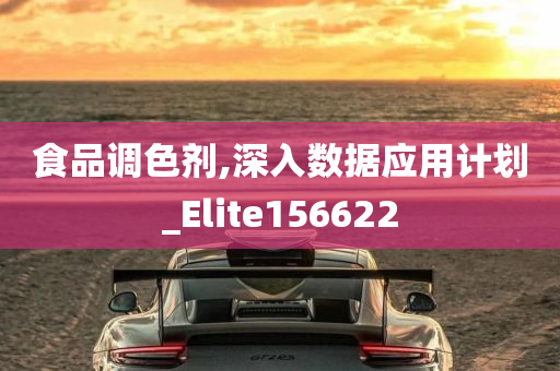 食品调色剂,深入数据应用计划_Elite156622