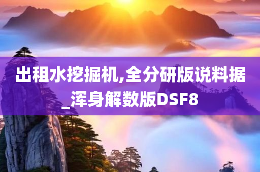 出租水挖掘机,全分研版说料据_浑身解数版DSF8